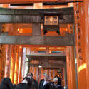 6119   red torii gates