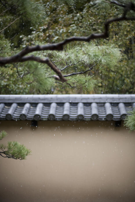 one of the walls surrounding the Koto-in temple of Daitoku-ji in kyoto, japan