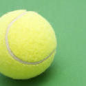 stock image 5727   tennis ball 