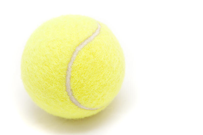 a single tennis ball on a white background