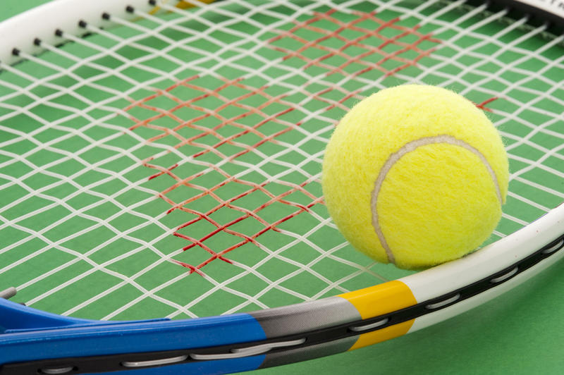 a tennis ball resting on the strings of a tennis racquet