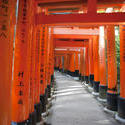 6138   Torii gate Tunnel