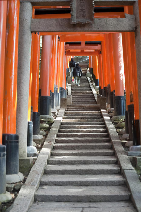 climbing steps lined with torii gates on Fushimi hill, near Inari-taisha, an Inari shrine in kyoto, Japan