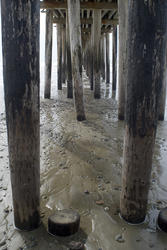 5700   Cayucos Wooden Pier