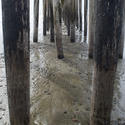 5700   Cayucos Wooden Pier