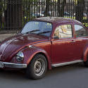 7231   volkswagen beetle