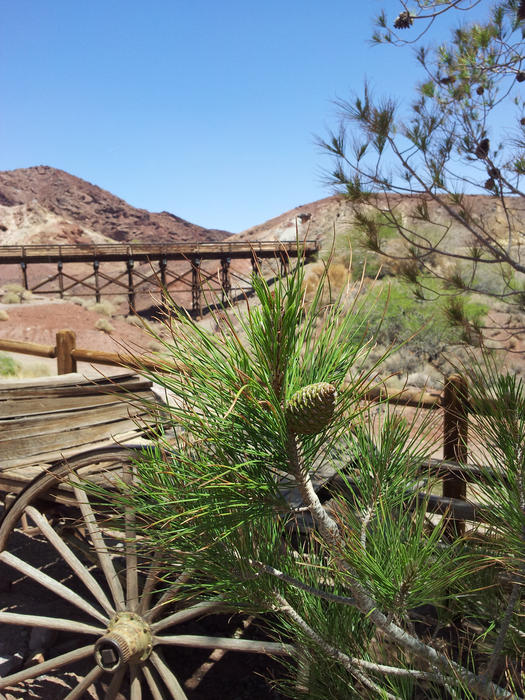 <p>Wagon in desert landscape.</p>