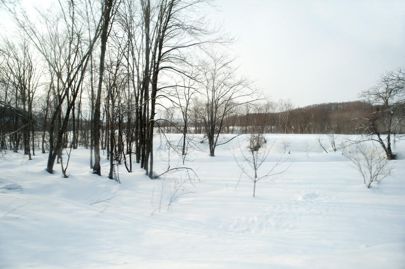 winter snows in north japan, hokkaido