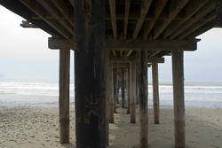 5701   Underneath Cayucos Pier