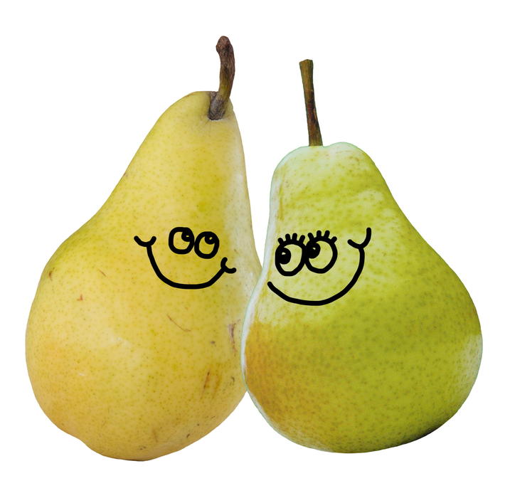<p>A pair of pears</p>