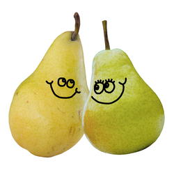 9109   a pair of pears
