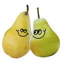 9109   a pair of pears