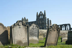 7919   Gravestones at Whitby abbey