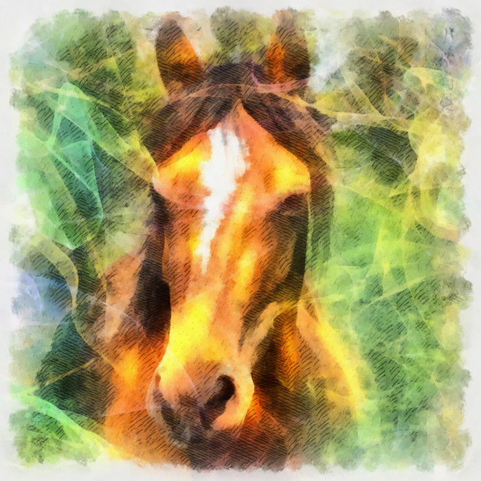 <p>Horse Illustration</p>
