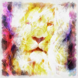 8984   abstract lion002