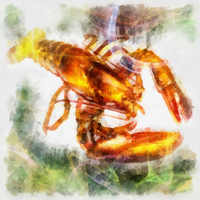 <p>Lobster Illustration</p>