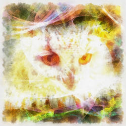 8986   abstract owl