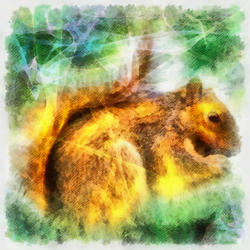 8991   abstract squirrel