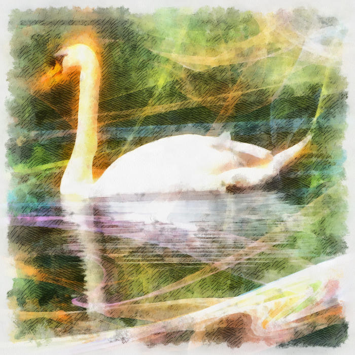 <p>Swan Painting</p>
