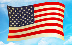 9055   american flag