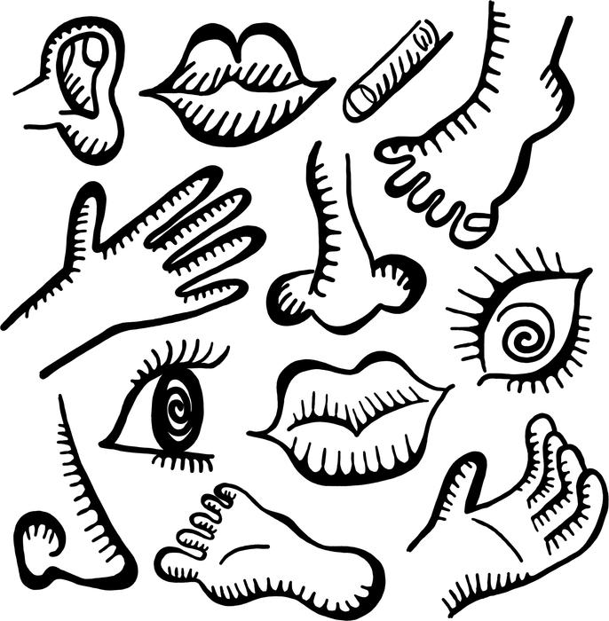 <p>Anatomy icon doodles.</p>