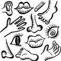 10896   anatomy doodle icons