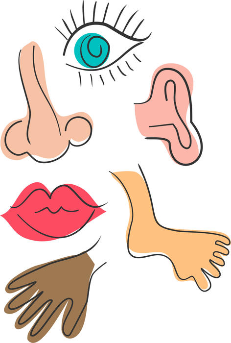 <p>Anatomy doodles.</p>