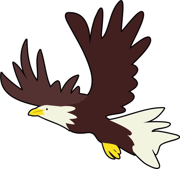 <p>Bald eagle in flight.</p>