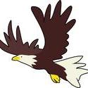 8955   bald eagle