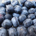 10604   Healthy Fresh Black Currant Berries on a Table