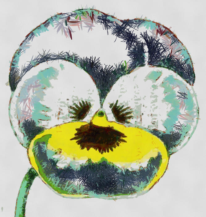 <p>Pansy Clip Art illustration.</p>
