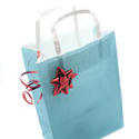 8633   Blue gift paper bag decorated with a red shiny bow