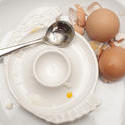 10249   Two consumed boiled eggs