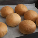 11775   Fresh Baked Brioche Rolls on Baking Pan