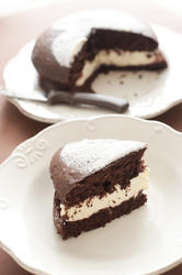10582   Slice of delicious chocolate cake