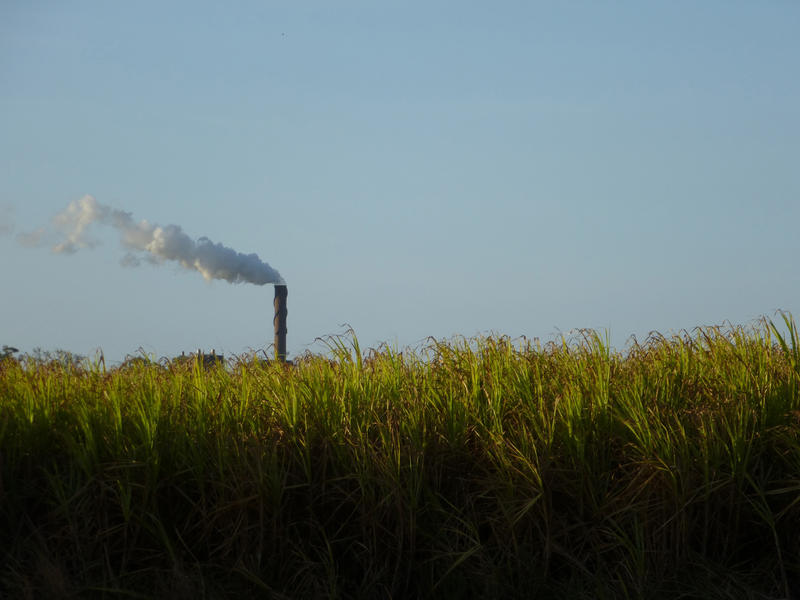 Panorama View of Green Fields with Smoking Industrial Chimney Afar on Light Blue Gray Sky Background.