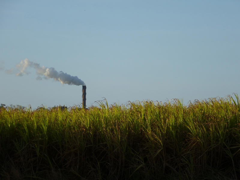 10786   Green Fields with Smoking Industrial Chimney Afar