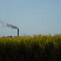 10786   Green Fields with Smoking Industrial Chimney Afar
