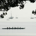 10982   Six Person Canoeing Team Paddling Along Lakeshore