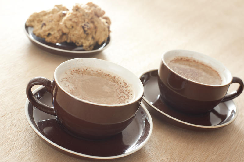 Two cups of fresh frothy cappuccino in generic brown cups and saucers served with cookies on a plate for a relaxing coffee break