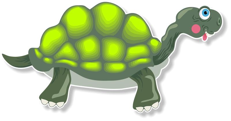 <p>Cartoon tortoise illustration.</p>
