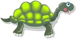 8957   cartoon tortoise