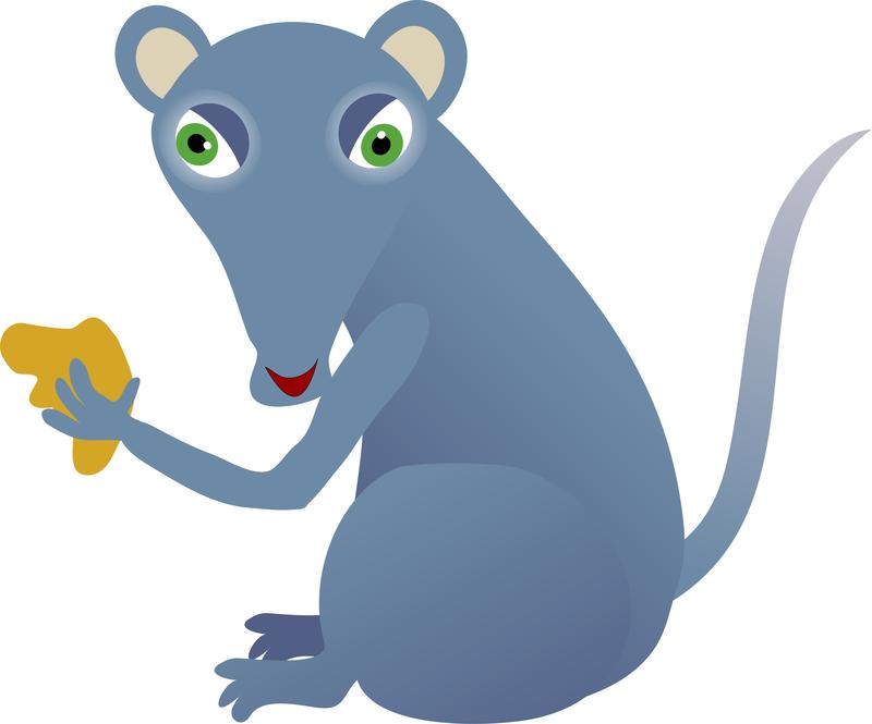 <p>Cartoon mouse eating cheese.</p>
