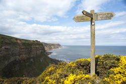 7973   Signpost on Cleveland Way