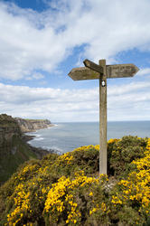 7974   Cleveland Way signpost