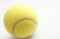 10984   Yellow tennis ball on white
