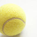 10984   Yellow tennis ball on white