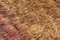 10912   Background texture of a rough coir mat