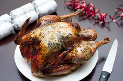 8642   Appetizing crispy brown roast Christmas turkey