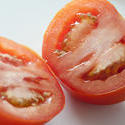 11781   Fresh tomato divided in half